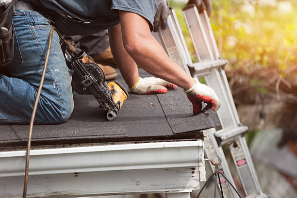 Roof Gutter Cleaning in Roxborough Park, CO